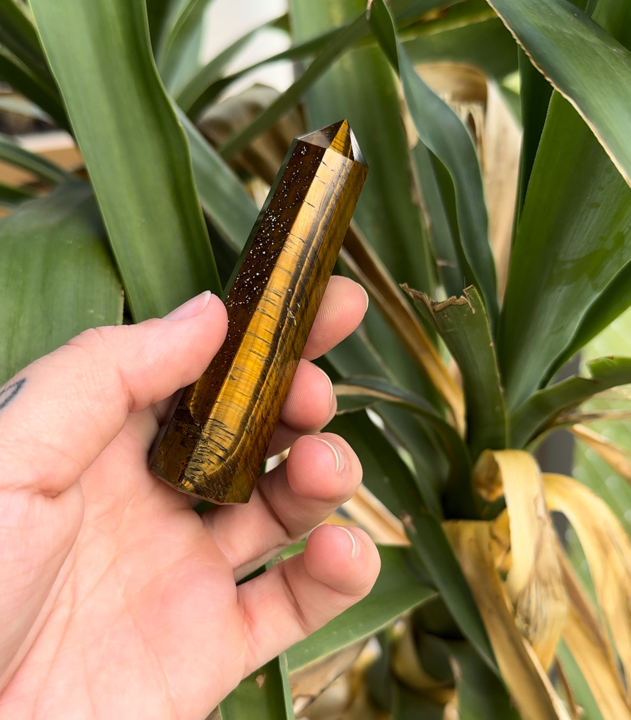 Tigers Eye (protection) Towers