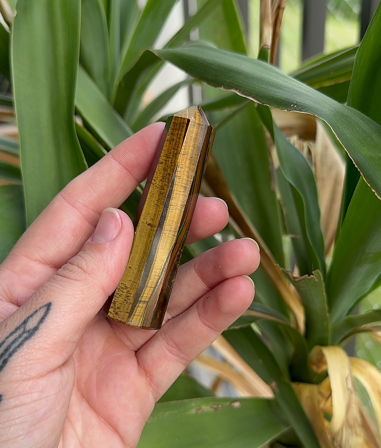 Tigers Eye (protection) Towers