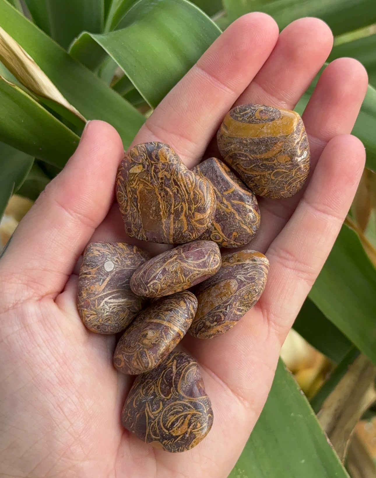 Elephant Jasper Heart, strength, protection & spiritual growth, 1”
