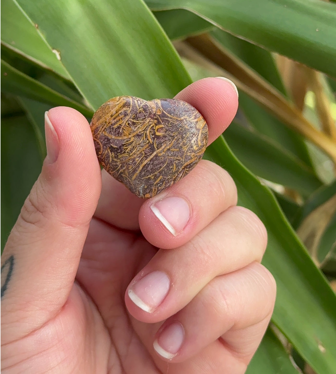 Elephant Jasper Heart, strength, protection & spiritual growth, 1”