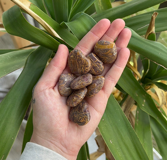 Elephant Jasper Heart, strength, protection & spiritual growth, 1”